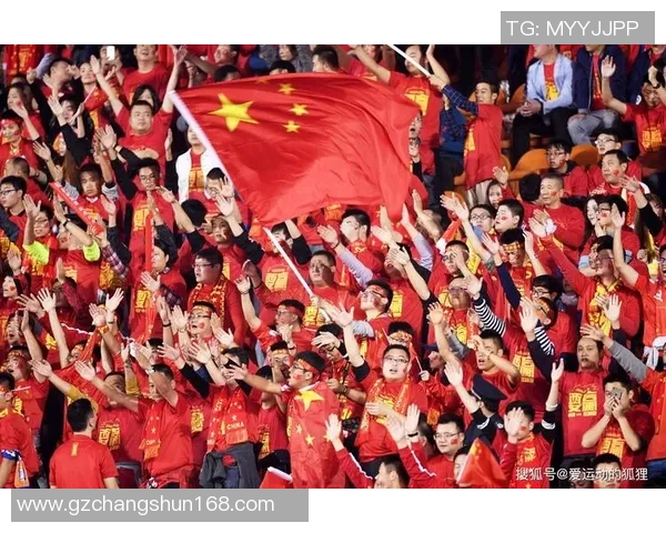 亚洲足球最强球星崛起背后的奋斗历程与辉煌成就分析